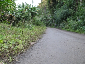 Stilwell Road between Nampong and Pangsau Pass (Photo: Shyam G Menon)