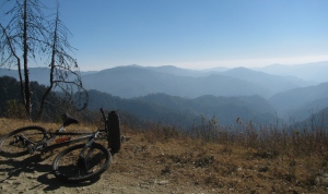 Mongoose and the mountains (Photo: Shyam G Menon)